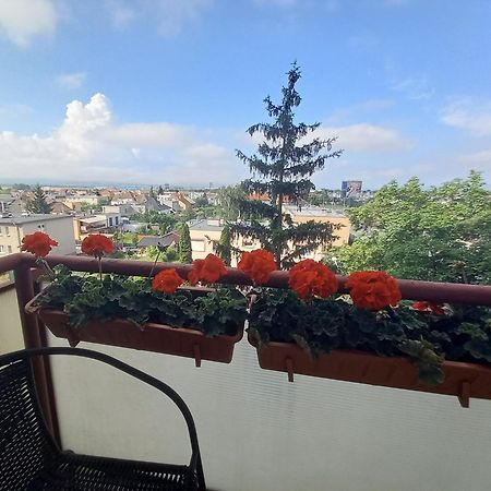 Apartman Lienka Free Parking City Centre Trencin Luaran gambar